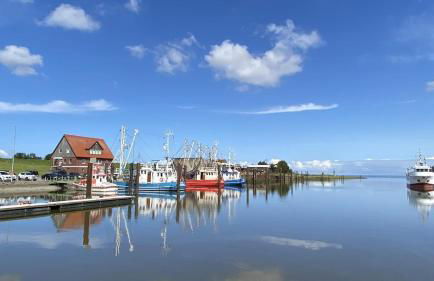 Idyllische Ferienwohnung an der Nordsee- Alte Schule Süllwarden - Foto 20