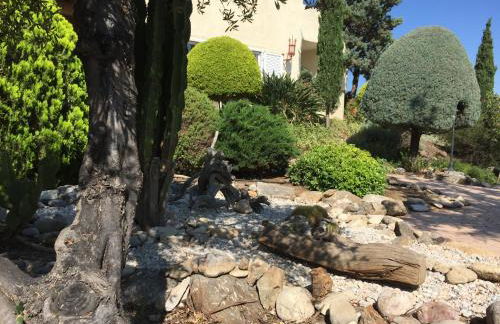 Carpe Diem - Photo 18