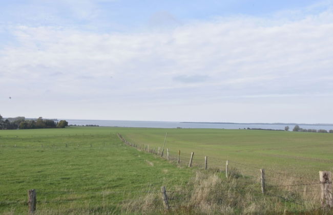 Ferienhaus mit Sauna in Boiensdorf am Salzhaff - Foto 32