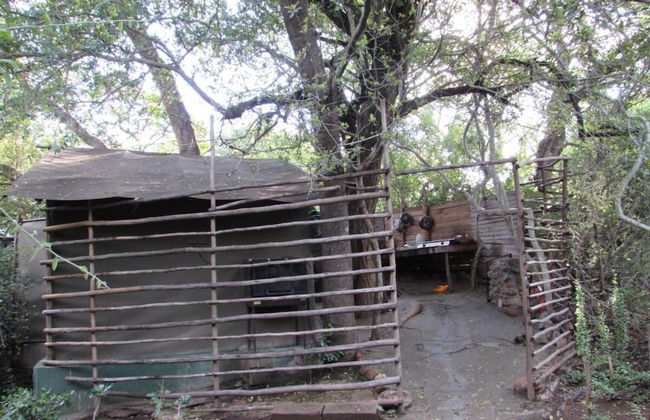 3 bed Bush-tent Under 3 Trees, for Couple Plus Chaperone Free Lionhyena Sounds - Foto 17
