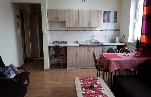 Apartament Borowiacki - Foto 15