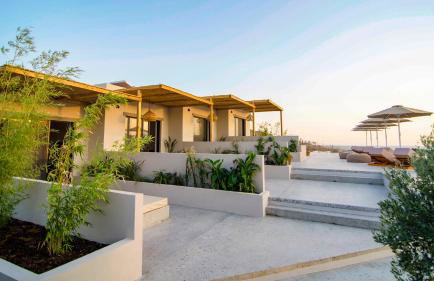 Amaranto Evgatis Limnos - Foto 14