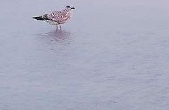 Landhaus Löwenzahn - Foto 50