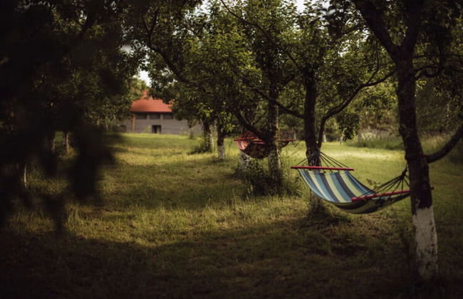 Apartment in Gronowo Near Lake Siecino - Foto 17