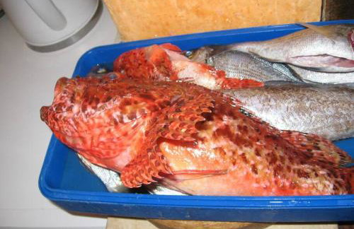 Romantic studio apartment - Foto 11