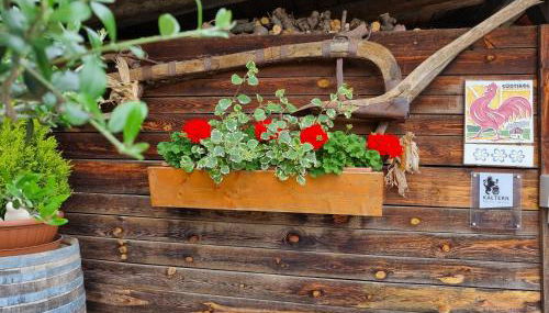 Urlaub auf dem Bauernhof Schmidhof - große Terrasse, Pool und beste Lage - Foto 4