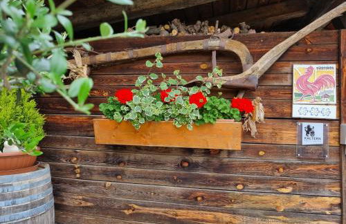 Urlaub auf dem Bauernhof Schmidhof - große Terrasse, Pool und beste Lage - Foto 4