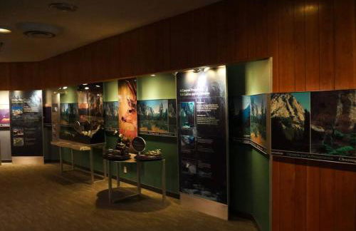 Sequoia Splendor, inside Kings Canyon NP by Visitors Center - Foto 76