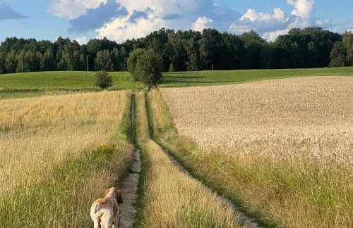 Żurawi klangor dom z sauną i jacuzzi - Foto 19