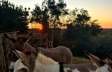 Tenuta Saracone - Foto 57