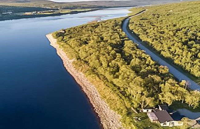 Karetörmä - Foto 24