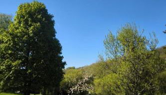 Apartment Sander by Interhome - Foto 5