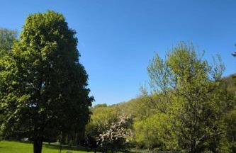 Apartment Sander by Interhome - Foto 5