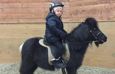 Dwor Trzesniow - Foto 8