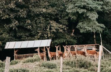 Idyllisches Apartment mit exklusivem Whirlpool - Foto 37