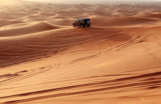 Desert Safari con cena y espectáculo - Foto 1