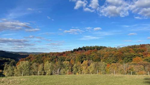 Chalet am Biggesee - Foto 5