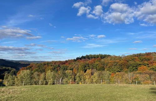 Chalet am Biggesee - Foto 5