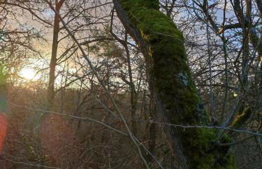 "Haus Ulla" - Foto 47