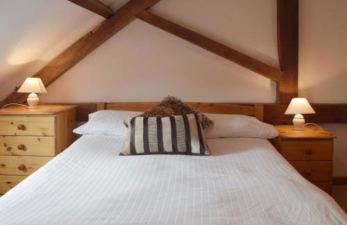 Coriander - E4323 - Foto 6