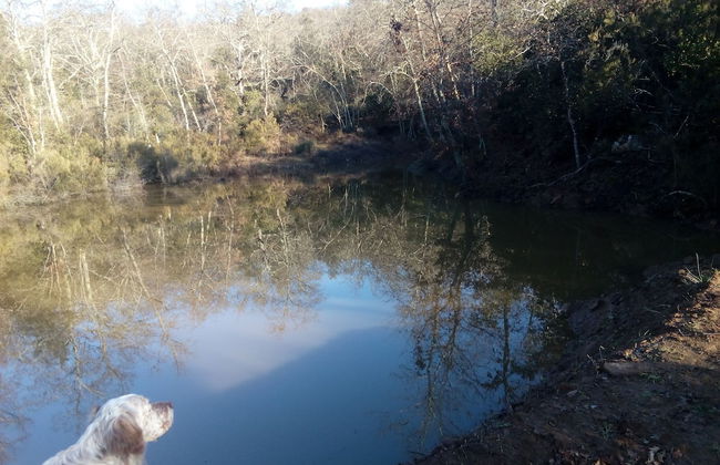 Podere Campovecchio - Foto 45