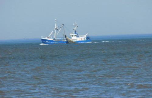 Ferienhof Ekenhoff - Foto 9