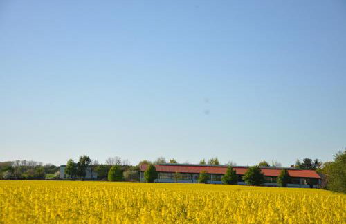 FEWO Reitanlage bei Altefähr - Foto 41
