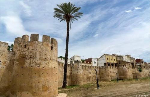 Exclusivo Apartamento ALZIRA - Foto 1