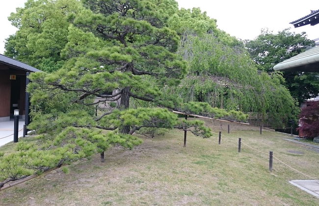 Kyonoyado Senkakubettei - Foto 28