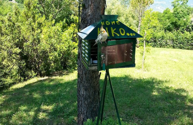 Agriturismo Persichitti - Foto 36