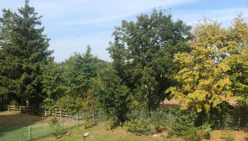 Ostseebauernhof Familie Jäger - Foto 5, Garden view