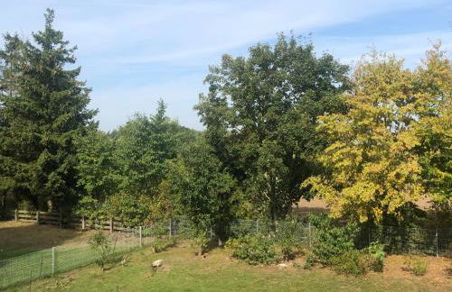 Ostseebauernhof Familie Jäger - Foto 5