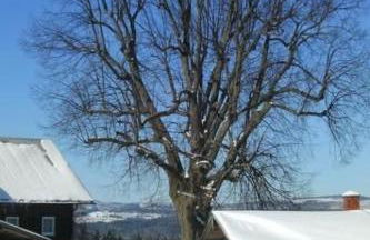 Holiday Home zur Linde by Interhome - Foto 15