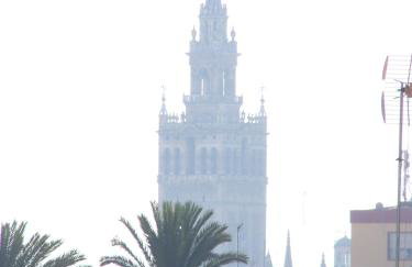 Apartamento Calle Goles - Foto 18