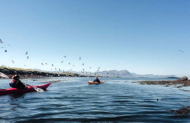 Stykkishólmur Coast Kayak Tour - Foto 6