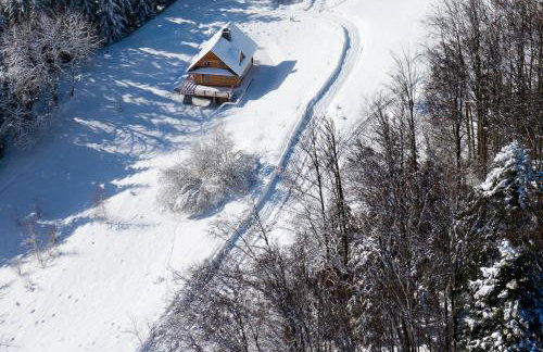 Chata na Kowalówkach - domek w górach - blisko szlaków i wyciągu - Foto 66