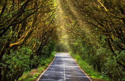 Casa Buganvilla - Foto 39