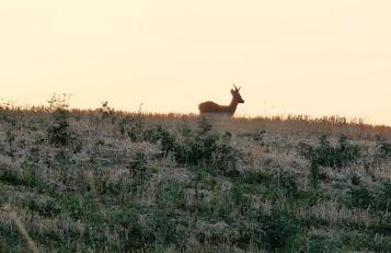 Villa Tiberini Wine Relais - Foto 19