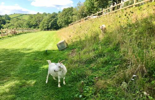 The Shepherds Snug - Photo 25