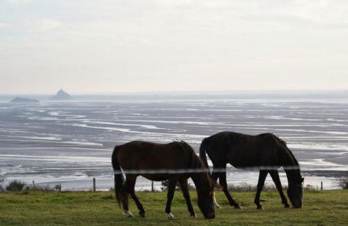 DOMITYS LES SALINES - Foto 23