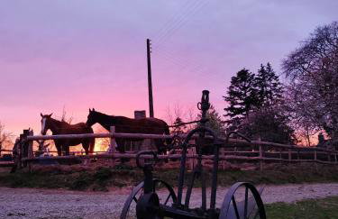 Le Gite du Ranch Normand - Photo 31
