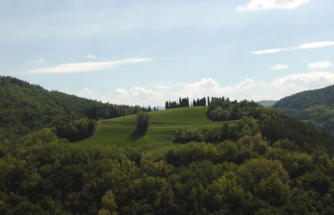 Heart of Emilia-romagna Apartment - Foto 34