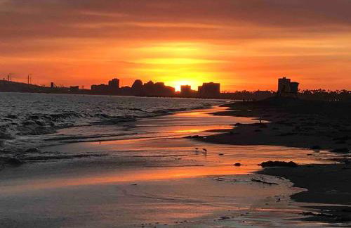 Oceanfront Oasis - Foto 37