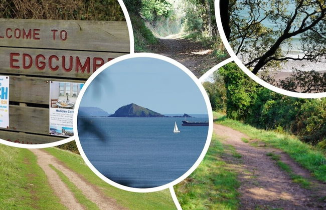 Blue Monkey - Foto 46