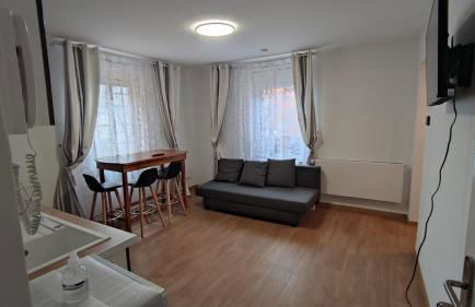 Résidence Romains - 1G - hébergements classés avec garage - Foto 3