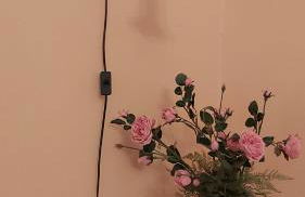 City-Ferienwohnungen-Dresden - zentral gelegen im Haus Louisenstrasse 11 - Dresden-Neustadt - Foto 75