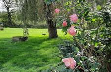 Gîte La Petite Roche - Foto 6