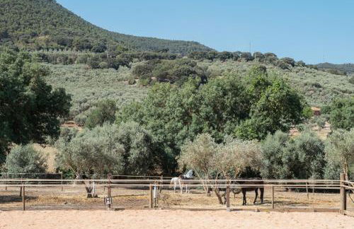 Pasa Fina, luxury holiday retreat - Photo 45