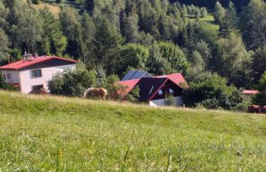 Chatka Milkowska - Foto 13