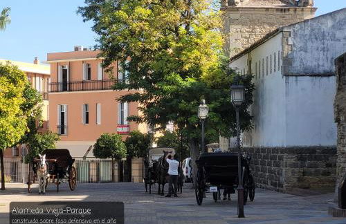 Jerez Centro Historico - Foto 72